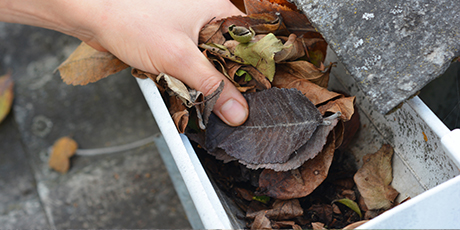 gutter-cleaning2