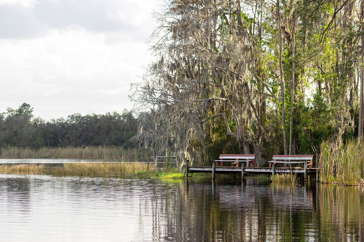 davenport-fl